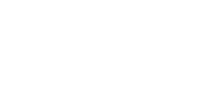 CSS Industries Logo