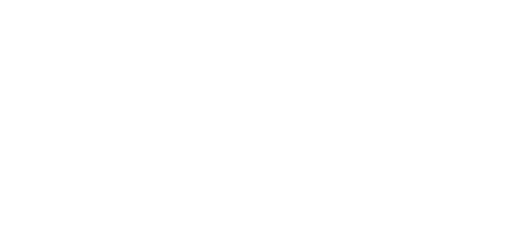 Monin Logo