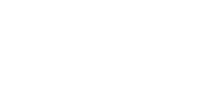 arnet_client LOGO